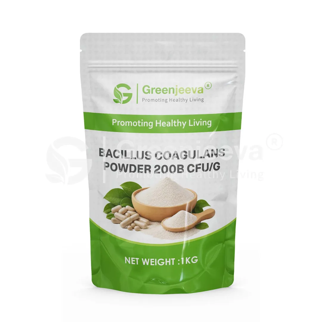 Bacillus coagulans Powder 200B CFU g Pouch Bacillus coagulans Powder 200B CFU g Pouch